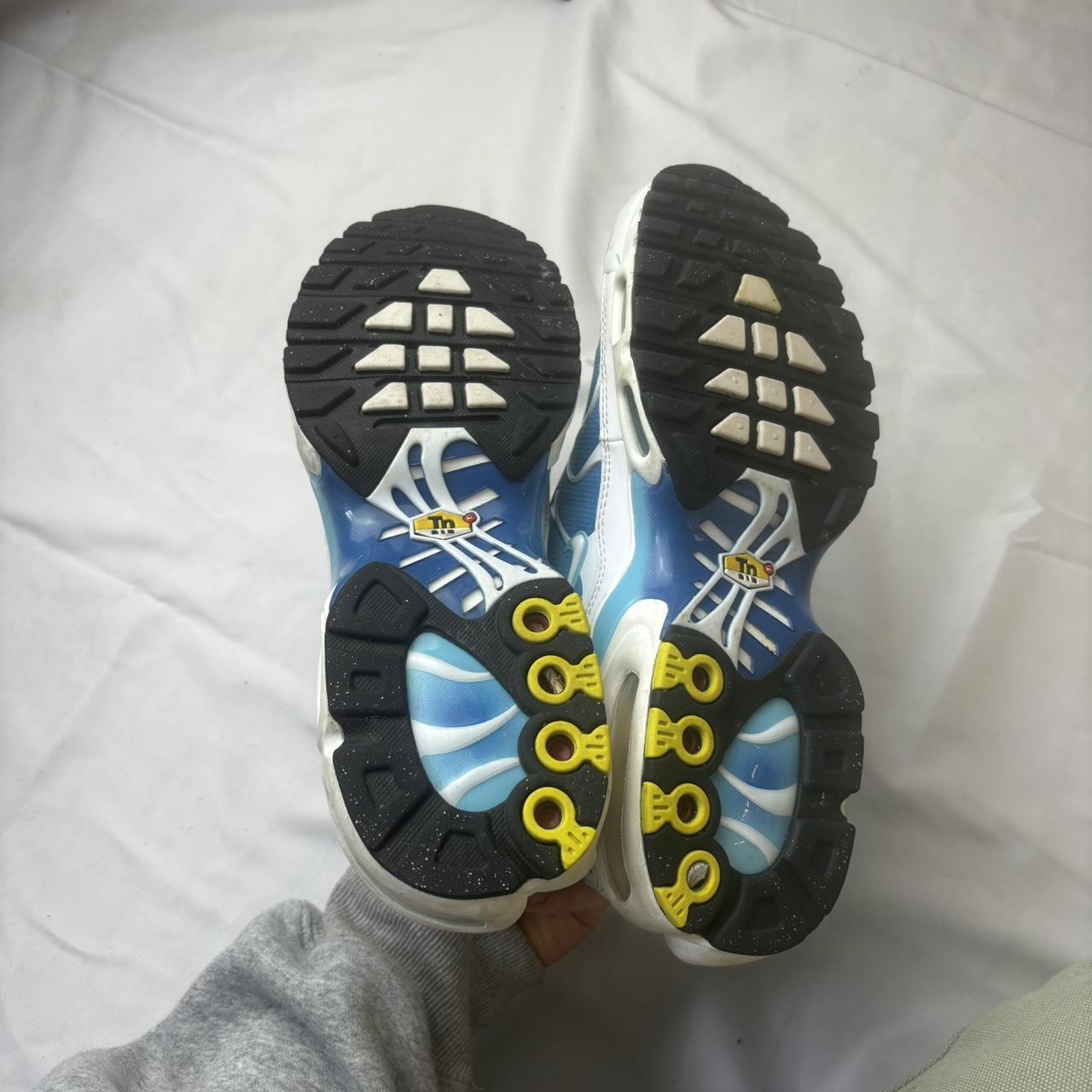 Blue and white Air max plus tn